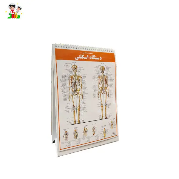 کتاب اطلس کالبد شناسی(آناتومی) بدن انسان | اندیشه کهن